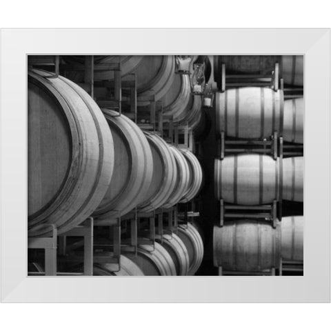 Winery VIII White Modern Wood Framed Art Print by Larson, Scott