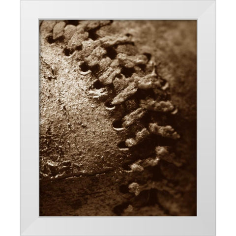 Summer Ball II White Modern Wood Framed Art Print by Larson, Scott