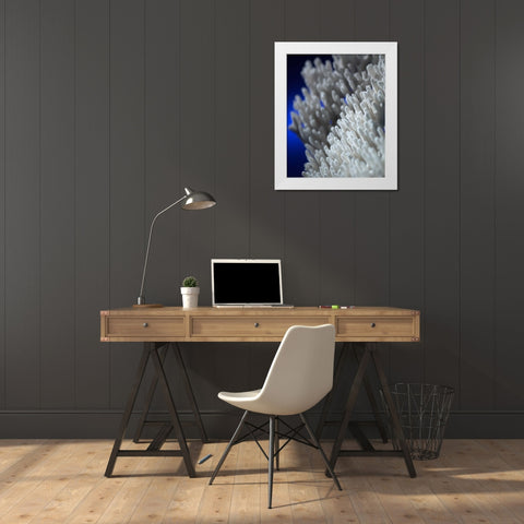 Sea Coral II White Modern Wood Framed Art Print by Larson, Scott