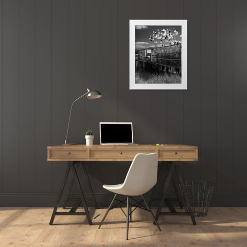 Estuary II White Modern Wood Framed Art Print by Larson, Scott