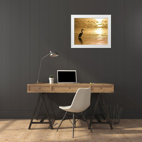 Estuary III White Modern Wood Framed Art Print by Larson, Scott