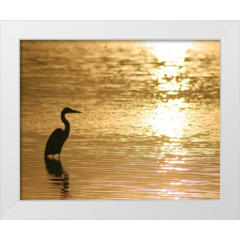 Estuary III White Modern Wood Framed Art Print by Larson, Scott