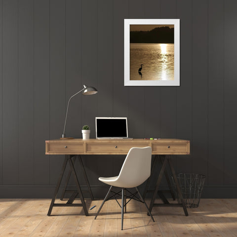 Estuary IV White Modern Wood Framed Art Print by Larson, Scott