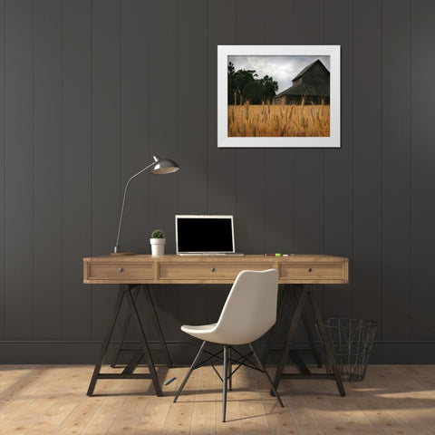 Harvest Time I White Modern Wood Framed Art Print by Larson, Scott
