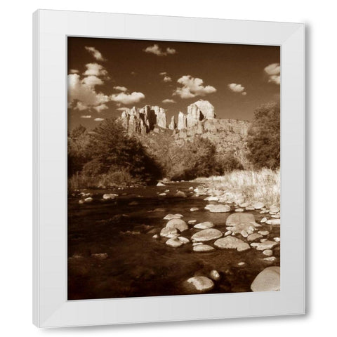 Desert Stream III White Modern Wood Framed Art Print by Larson, Scott