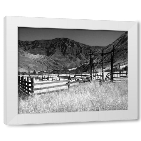 Summer Corral I White Modern Wood Framed Art Print by Larson, Scott