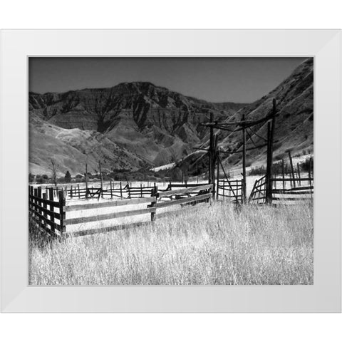 Summer Corral I White Modern Wood Framed Art Print by Larson, Scott