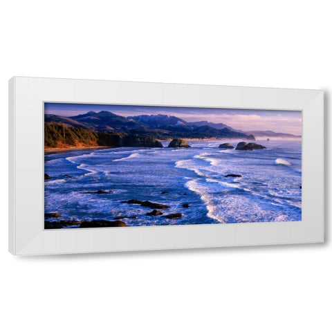 Ecola State Park IV White Modern Wood Framed Art Print by Leahy, Ike