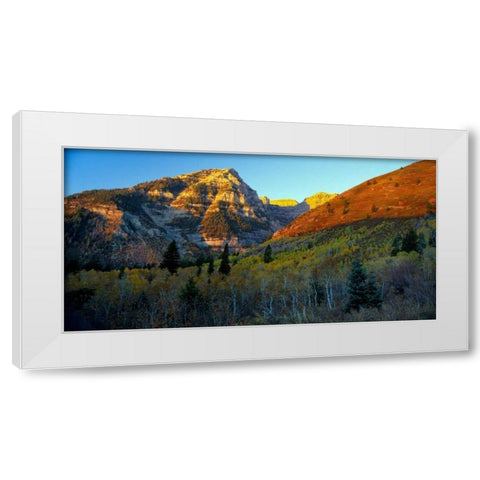 Sundance White Modern Wood Framed Art Print by Leahy, Ike