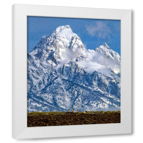 Grand Teton National Park V White Modern Wood Framed Art Print by Leahy, Ike