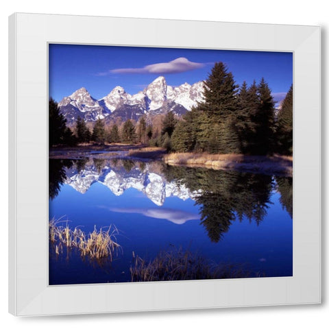 Grand Teton National Park VII White Modern Wood Framed Art Print by Leahy, Ike