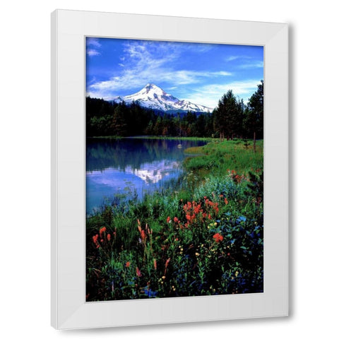 Mt. Hood III White Modern Wood Framed Art Print by Leahy, Ike