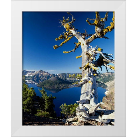 Crater Lake I White Modern Wood Framed Art Print by Leahy, Ike