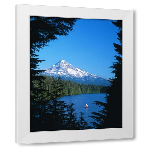 Mt. Hood VI White Modern Wood Framed Art Print by Leahy, Ike