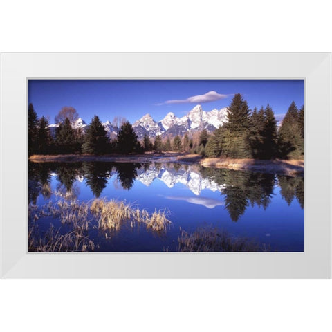 Grand Teton National Park XII White Modern Wood Framed Art Print by Leahy, Ike