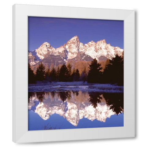 Grand Teton National Park XIII White Modern Wood Framed Art Print by Leahy, Ike