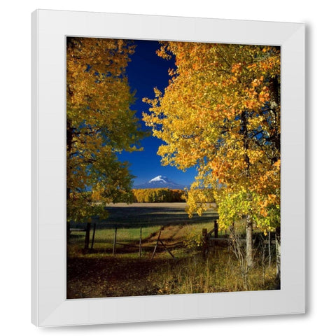 Mt. Adams VI White Modern Wood Framed Art Print by Leahy, Ike
