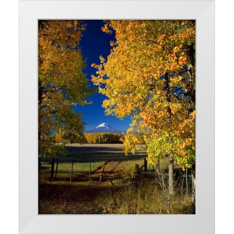 Mt. Adams VI White Modern Wood Framed Art Print by Leahy, Ike