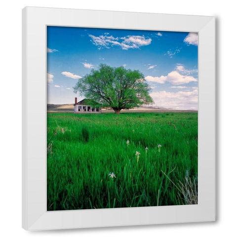 Pioneer School White Modern Wood Framed Art Print by Leahy, Ike