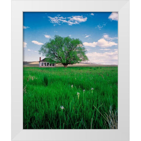 Pioneer School White Modern Wood Framed Art Print by Leahy, Ike