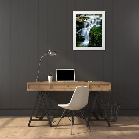 Lost Creek Falls White Modern Wood Framed Art Print by Leahy, Ike