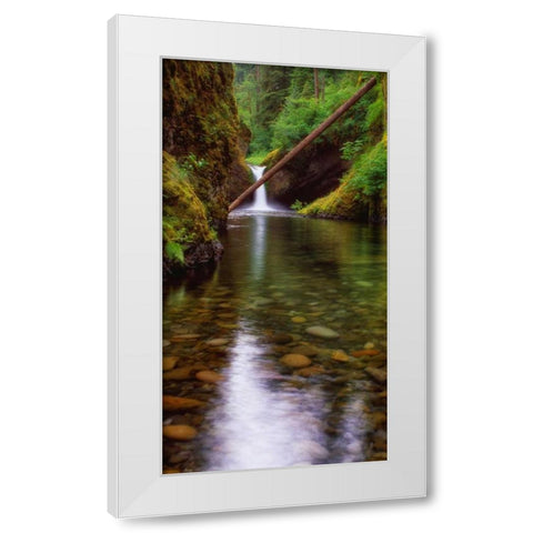 Punch Bowl Falls White Modern Wood Framed Art Print by Leahy, Ike