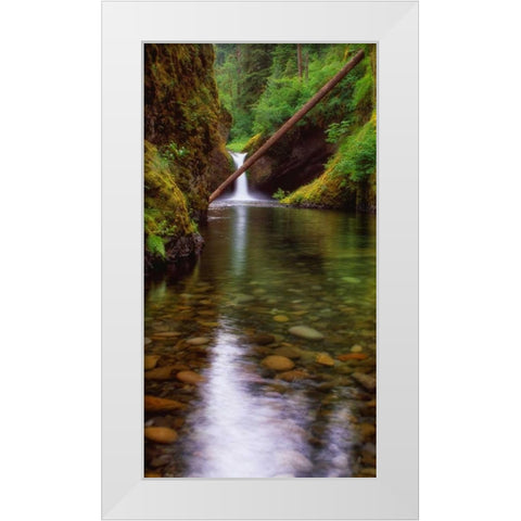 Punch Bowl Falls White Modern Wood Framed Art Print by Leahy, Ike