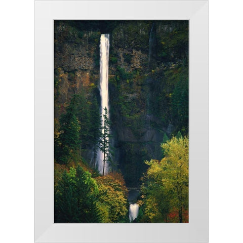 Multnomah Falls Autumn White Modern Wood Framed Art Print by Leahy, Ike