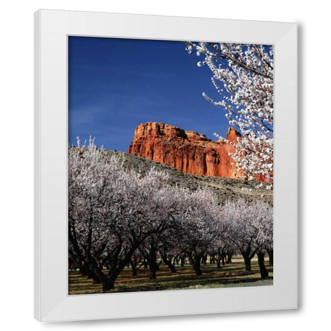 Capitol Reef White Modern Wood Framed Art Print by Leahy, Ike