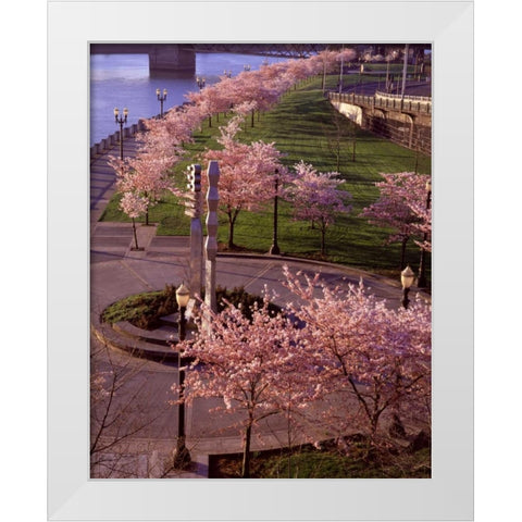Spring in Portland White Modern Wood Framed Art Print by Leahy, Ike