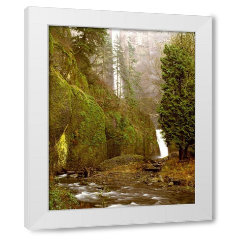 Multnomah Falls Creek Side White Modern Wood Framed Art Print by Leahy, Ike