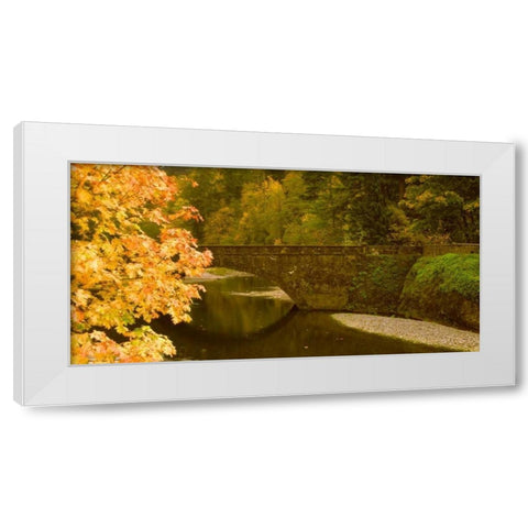 Stone Bridge White Modern Wood Framed Art Print by Leahy, Ike