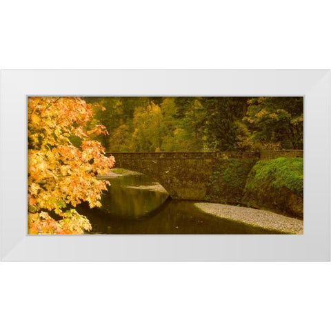 Stone Bridge White Modern Wood Framed Art Print by Leahy, Ike