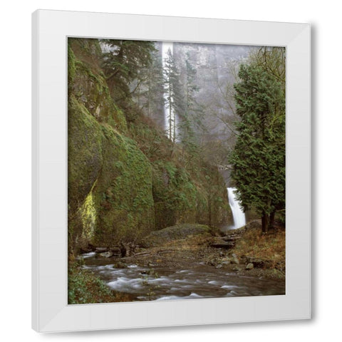 Multnomah Falls Creek Side II White Modern Wood Framed Art Print by Leahy, Ike