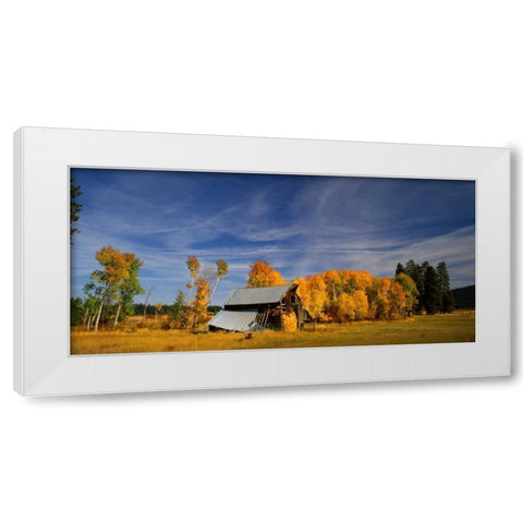 Old Barn White Modern Wood Framed Art Print by Leahy, Ike