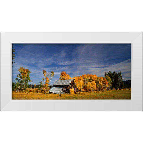 Old Barn White Modern Wood Framed Art Print by Leahy, Ike