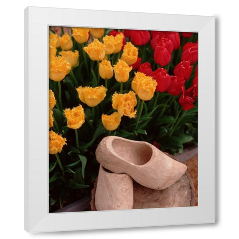 Wooden Shoe Tulips White Modern Wood Framed Art Print by Leahy, Ike