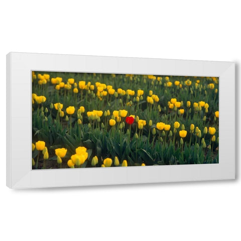 Me White Modern Wood Framed Art Print by Leahy, Ike