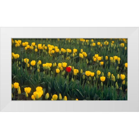 Me White Modern Wood Framed Art Print by Leahy, Ike