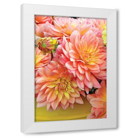 Spring Garden I White Modern Wood Framed Art Print by Love, Maureen