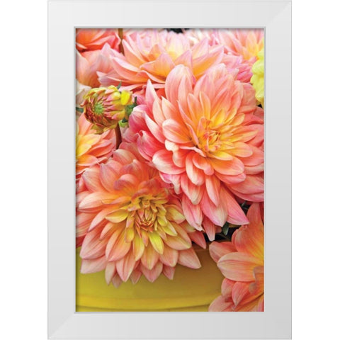 Spring Garden I White Modern Wood Framed Art Print by Love, Maureen