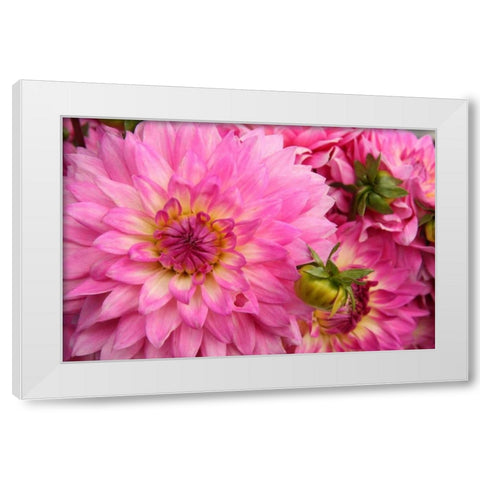 Spring Garden II White Modern Wood Framed Art Print by Love, Maureen