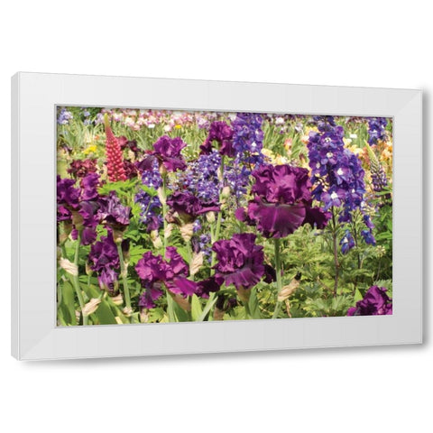 Purple Garden II White Modern Wood Framed Art Print by Love, Maureen