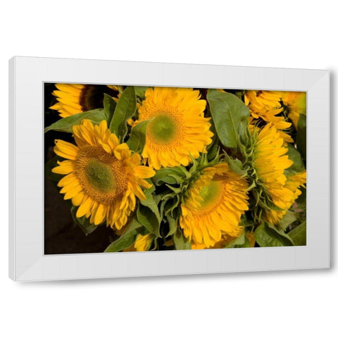Sunflower I White Modern Wood Framed Art Print by Love, Maureen