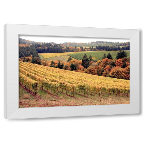 Fall in Wine Country I White Modern Wood Framed Art Print by Love, Maureen