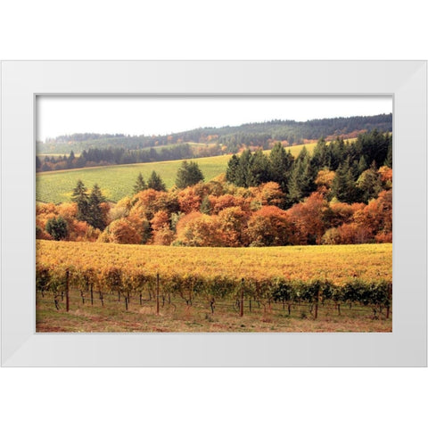 Fall in Wine Country I White Modern Wood Framed Art Print by Love, Maureen