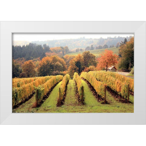Bella Vida I White Modern Wood Framed Art Print by Love, Maureen