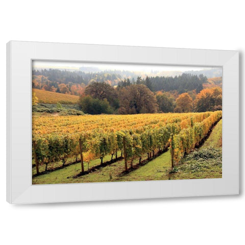 Bella Vida II White Modern Wood Framed Art Print by Love, Maureen