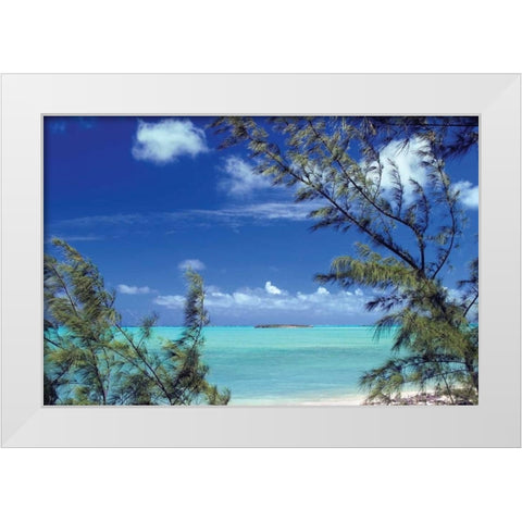 Pelican Cay White Modern Wood Framed Art Print by Malvin, Larry