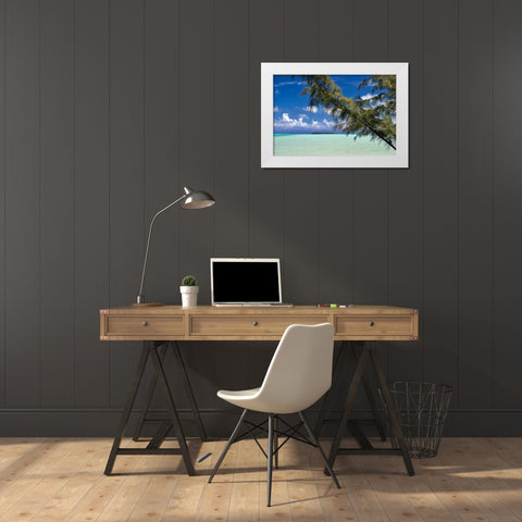 Sandbar Pelican Cay White Modern Wood Framed Art Print by Malvin, Larry